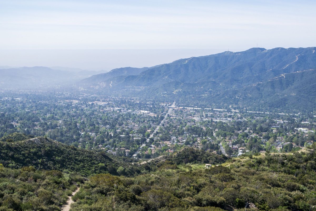 I Kinda Rap tweet media