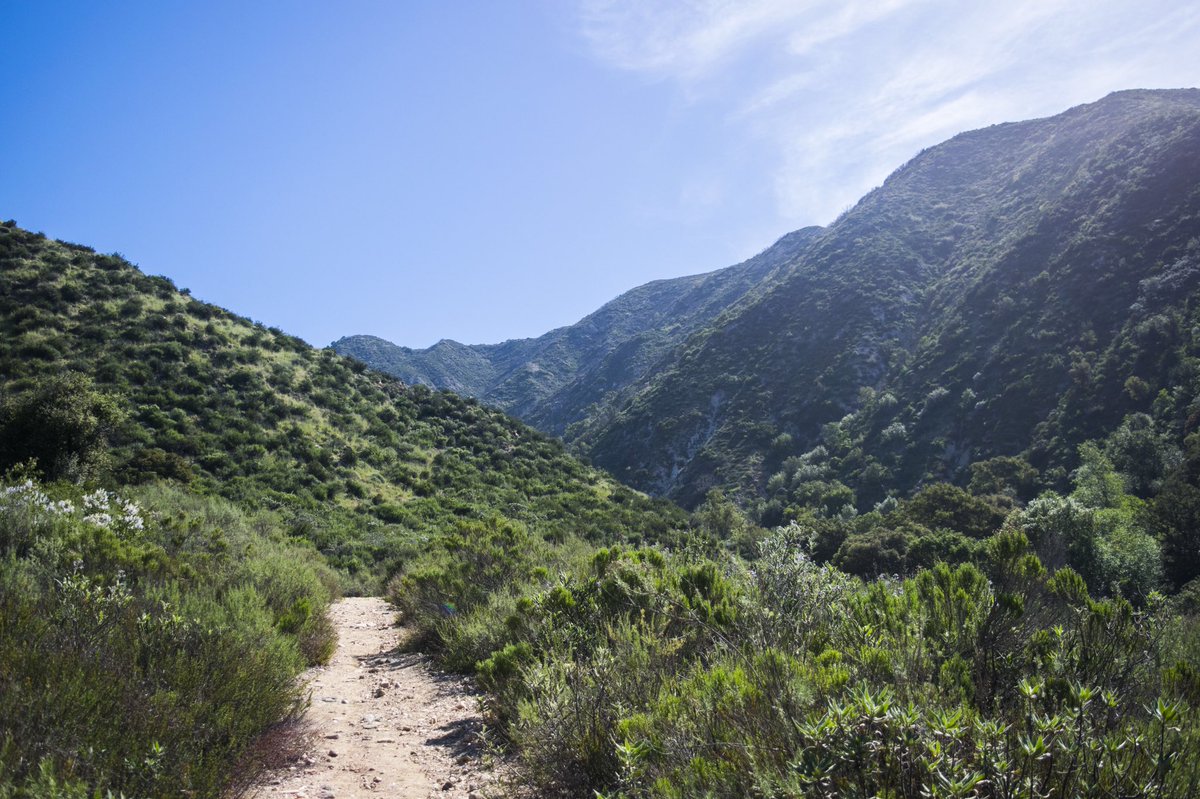 I Kinda Rap tweet media