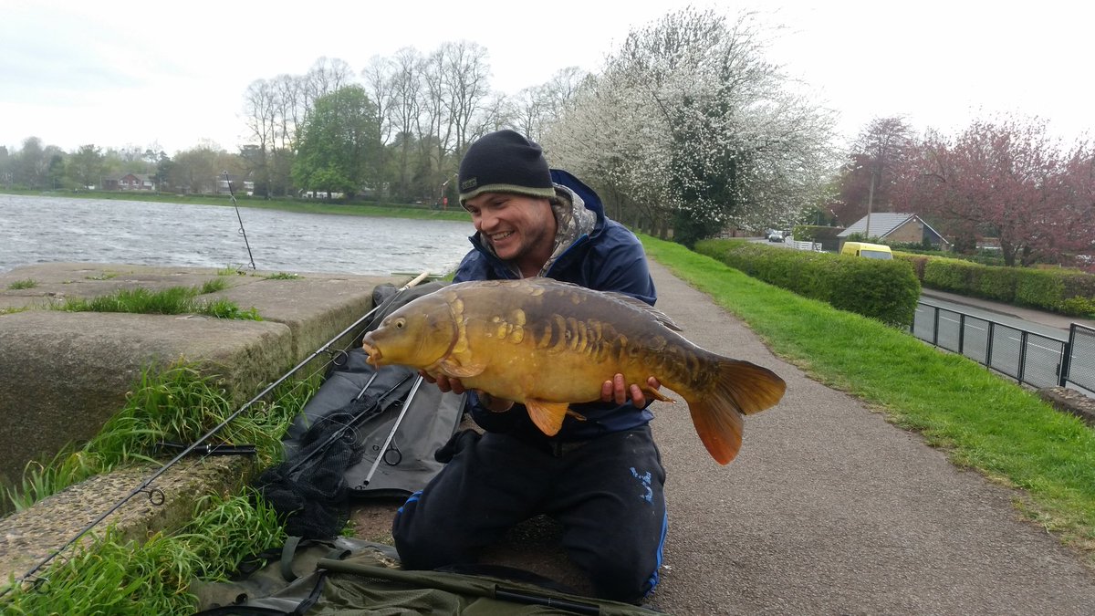 lococyprinus's tweet photo. 2 tone beauty https://t.co/hfWLJbu4mA