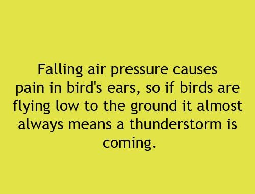 CoolShitBiz's tweet photo. This Is Good To Know! https://t.co/zAl7DEGQZI