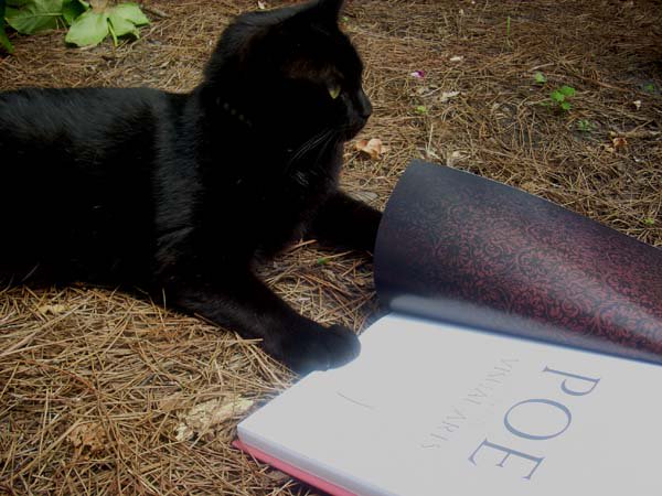 Edgar the #PoeMuseumCat reminds you to read an #EdgarAllanPoe story for #WorldBookDay. #WorldBookDay2018 <a href="/PoeMuseum/">The Poe Museum</a> #CatsOfTwitter