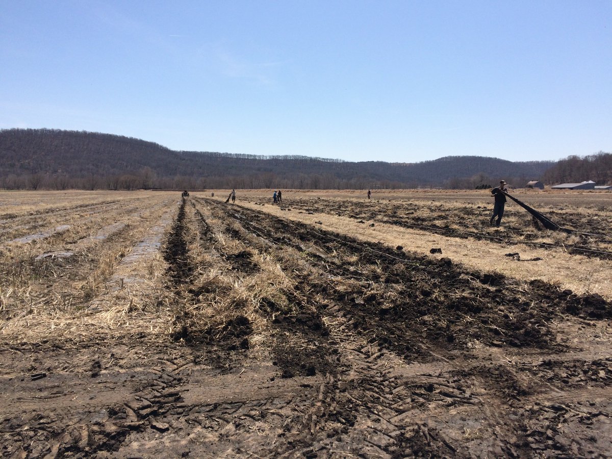 featherstonefv's tweet photo. First day in the field!  Let the 2018 growing season begin!  #SpringCleaning #springishere https://t.co/4SEaKeSeiF
