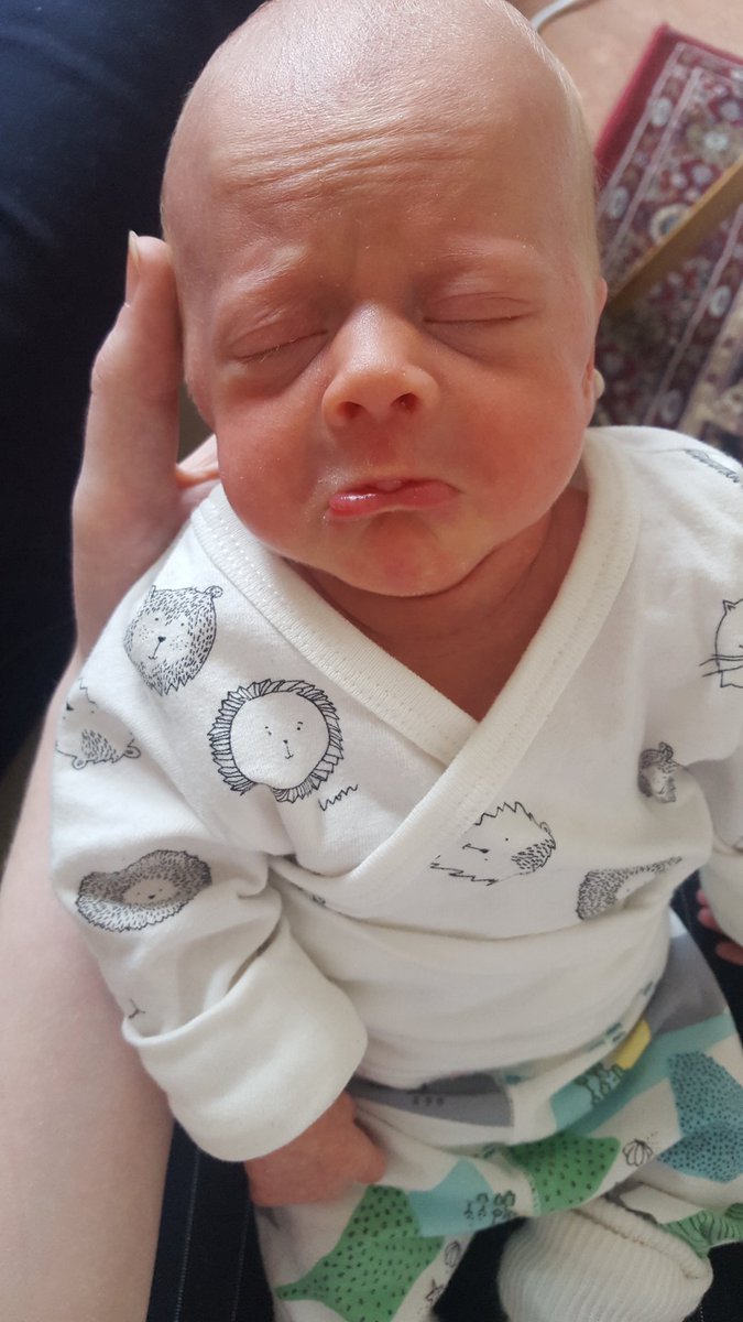 Tanja Rún Kristmanns tweet media