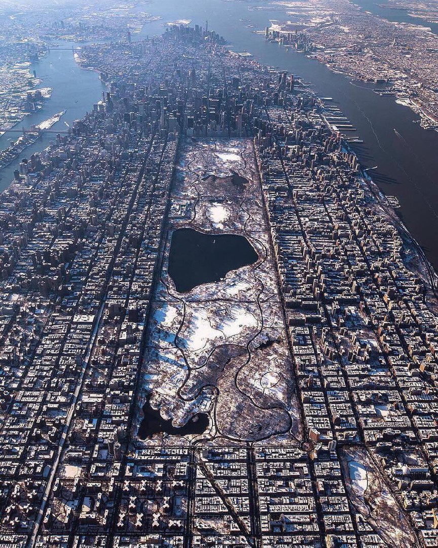 Interior Ideas tweet media