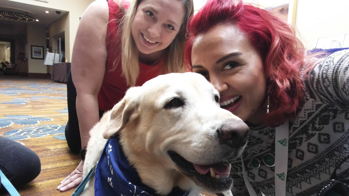 NatHanson_PR's tweet photo. Enjoying a break at #NAWC2018 with our new friend Finnegan from the @PALSCalgary. Animal contact has incredible benefits for our mental health &amp; wellbeing. Thank u to the PALS volunteers for being here today! https://t.co/sjmCz6tzlz