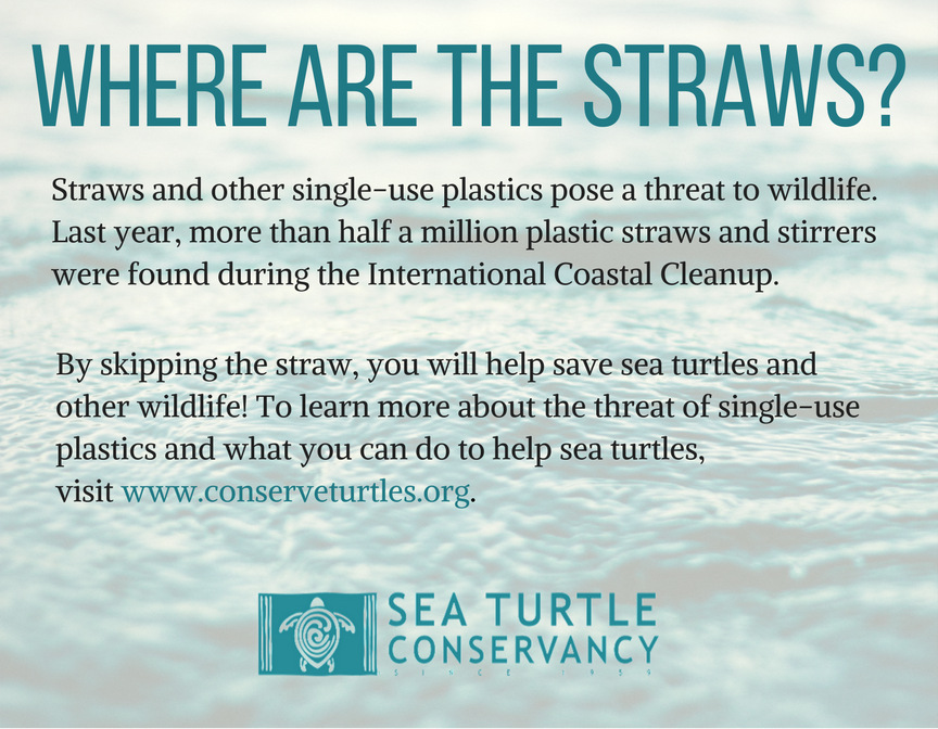 OffTheHookNSB's tweet image. Wondering where the straws went? #onelessstraw #skipthestraw #loveouroceans