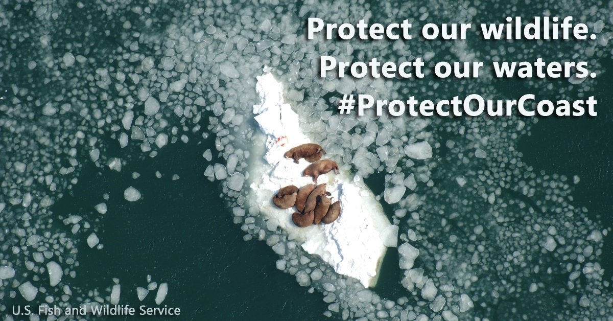 alaskawild's tweet photo. Climate change isn’t confined to coastlines. @SecretaryZinke and @realDonaldTrump: Your plan to expand offshore drilling puts all of our coasts at risk of another #DeepwaterDisaster. #ProtectOurCoast Speak out at: https://t.co/MsmWJOkOHV https://t.co/OxXSNqhOrO