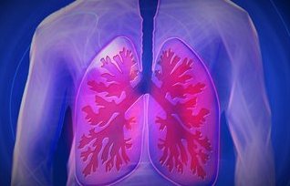 NSBluebirdcare's tweet photo. Every year, about 43,000 are diagnosed with #LungCancer each year in the UK. How can you reduce your risk of developing lung cancer? https://t.co/pgrPuyCPJT. https://t.co/HlIRQRyMdJ