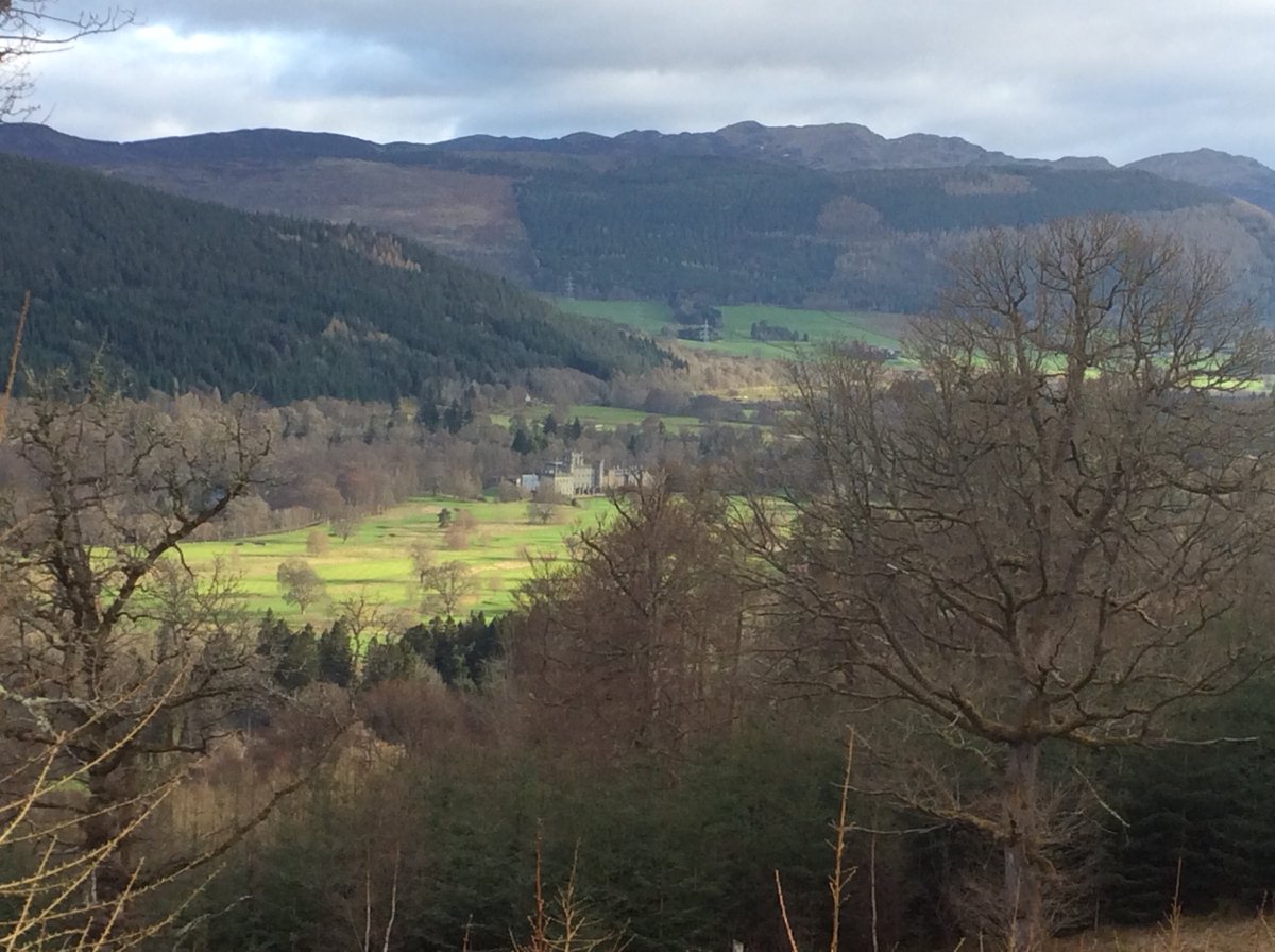 FirstAidPerth's tweet photo. Another stunning drive to 'work' this morning - after a weekend of supercars - this is where they need to be tested.
Taymouth Marina - view from the office
#Perthshire #supercars #amazingroads #trafficjam #bestwaytodrive @TaymouthMarina https://t.co/My6j3LJa31