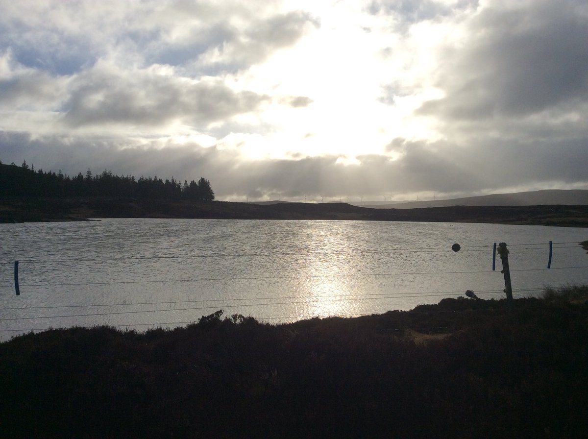 FirstAidPerth's tweet photo. Another stunning drive to 'work' this morning - after a weekend of supercars - this is where they need to be tested.
Taymouth Marina - view from the office
#Perthshire #supercars #amazingroads #trafficjam #bestwaytodrive @TaymouthMarina https://t.co/My6j3LJa31