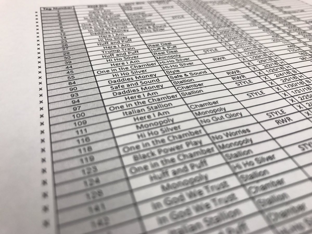 bushmancattle's tweet image. Ready or not here we go! AI breeding about to commence! #bushmancattle #lotstochoosefrom