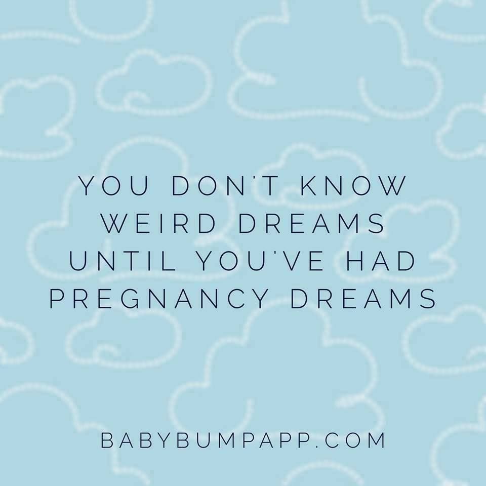 Baby Bump tweet media