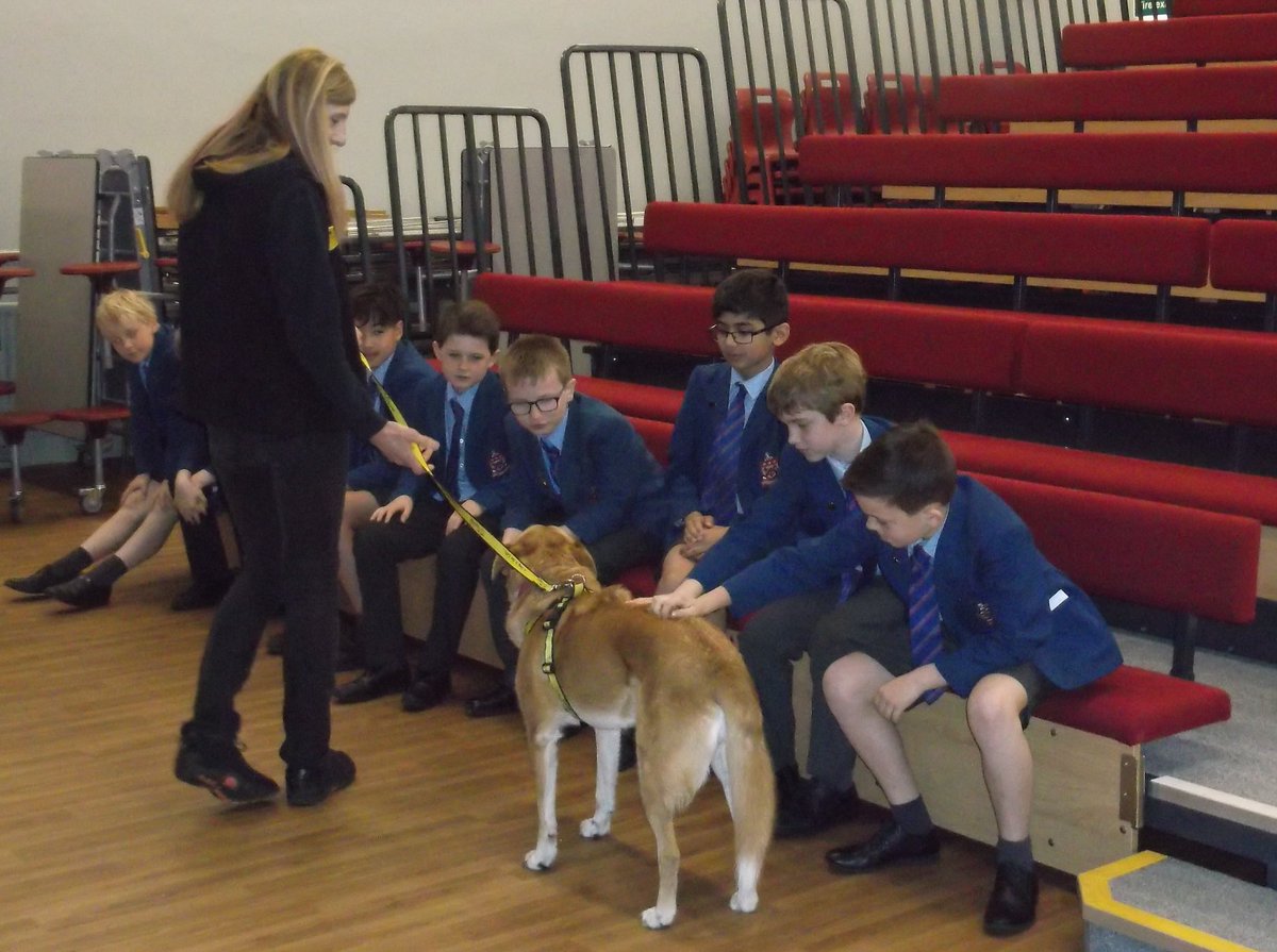 RedHouseSchool's tweet photo. Year 6 received a visit from the @DogsTrust. They learnt about a dog's body language and how to behave around dogs #citizenshipprogramme https://t.co/hlzr2rMs4f