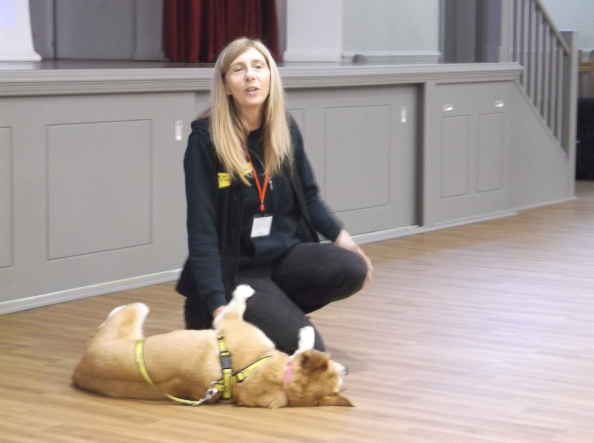 RedHouseSchool's tweet photo. Year 6 received a visit from the @DogsTrust. They learnt about a dog's body language and how to behave around dogs #citizenshipprogramme https://t.co/hlzr2rMs4f