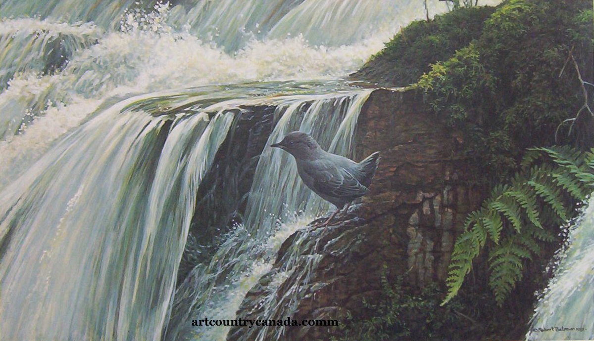 cvcfoundation's tweet photo. The legendary Robert Bateman (@batemancentre) has generously donated this beautiful print for our #ConservationGala to help raise funds to protect, connect, and sustain the #CreditRiver! Thank you! #EarthDay @CVC_CA #NatureIsMagic https://t.co/Tw6B44YBEh
