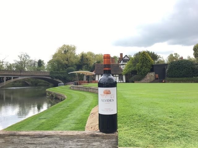 Bodega Alvides tweet media