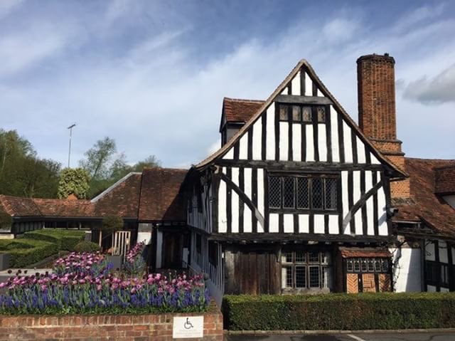 Bodega Alvides tweet media