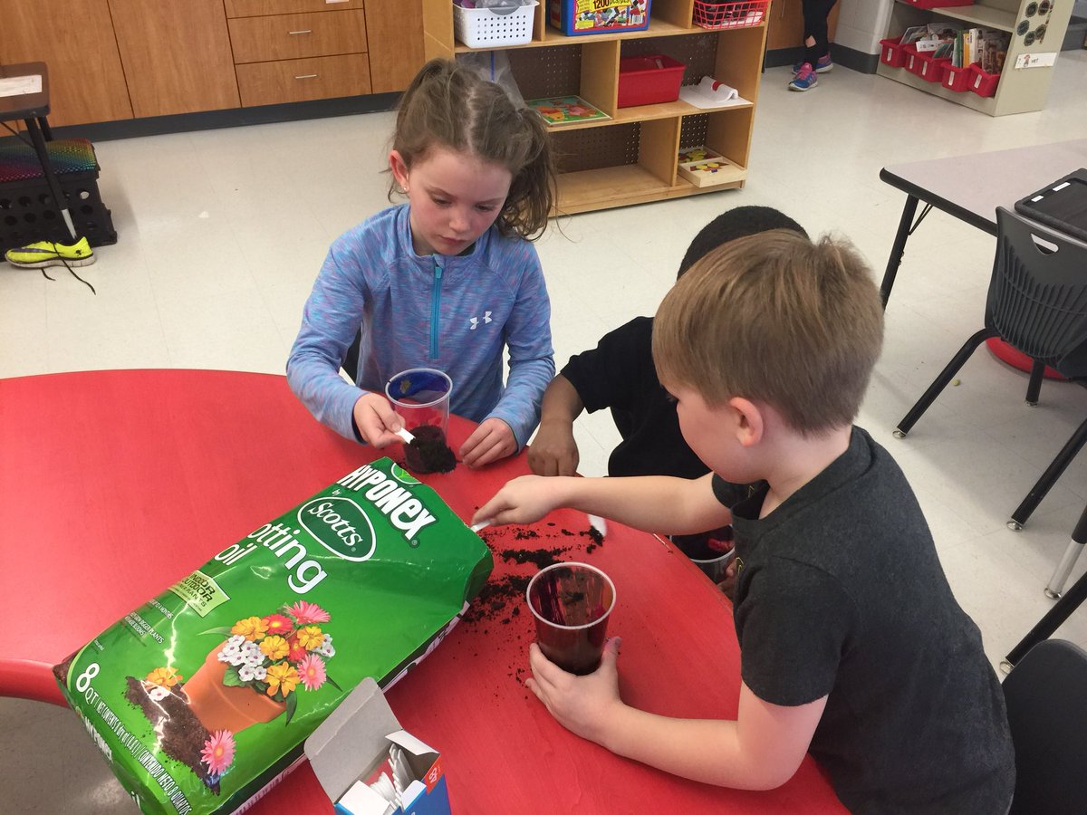 LaabsTara's tweet photo. 6-10 days to germinate... we’ll see if we have green thumbs in K! #sweetwilliams #demdelights #EarthDay #fromseedtoflower https://t.co/xVMGSKIz10