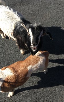 View image on Twitter