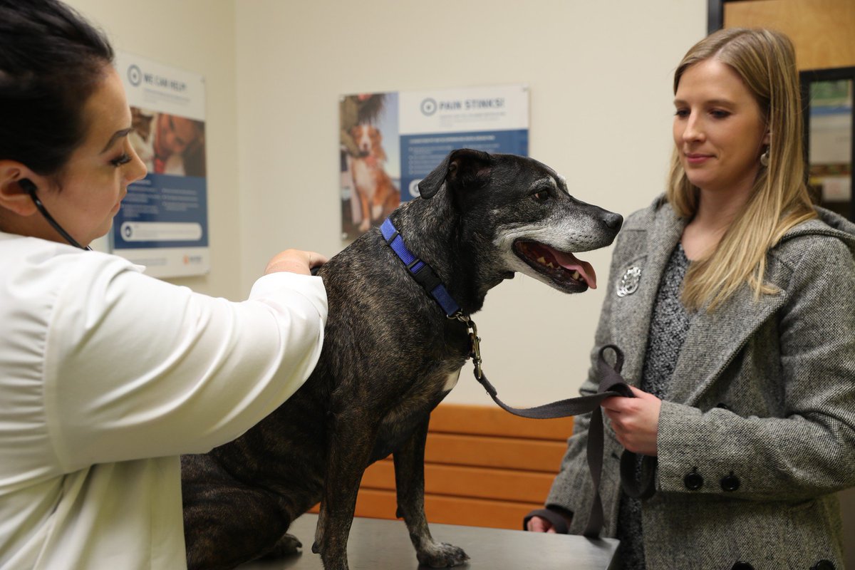 At <a href="/Banfield/">Banfield Pet Hospital</a>, we're committed to giving your pets extraordinary care whenever and wherever they need it. Partner with one of our veterinarians today to begin proactively monitoring the health and wellness of the pets you love. ow.ly/6faW1011TTA