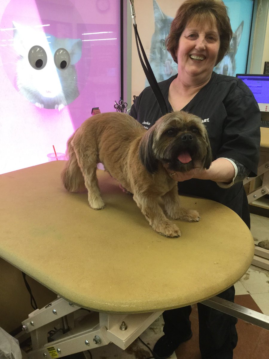 #0733 #nyc #northeastgrooming #extrememakeover jackiebowen