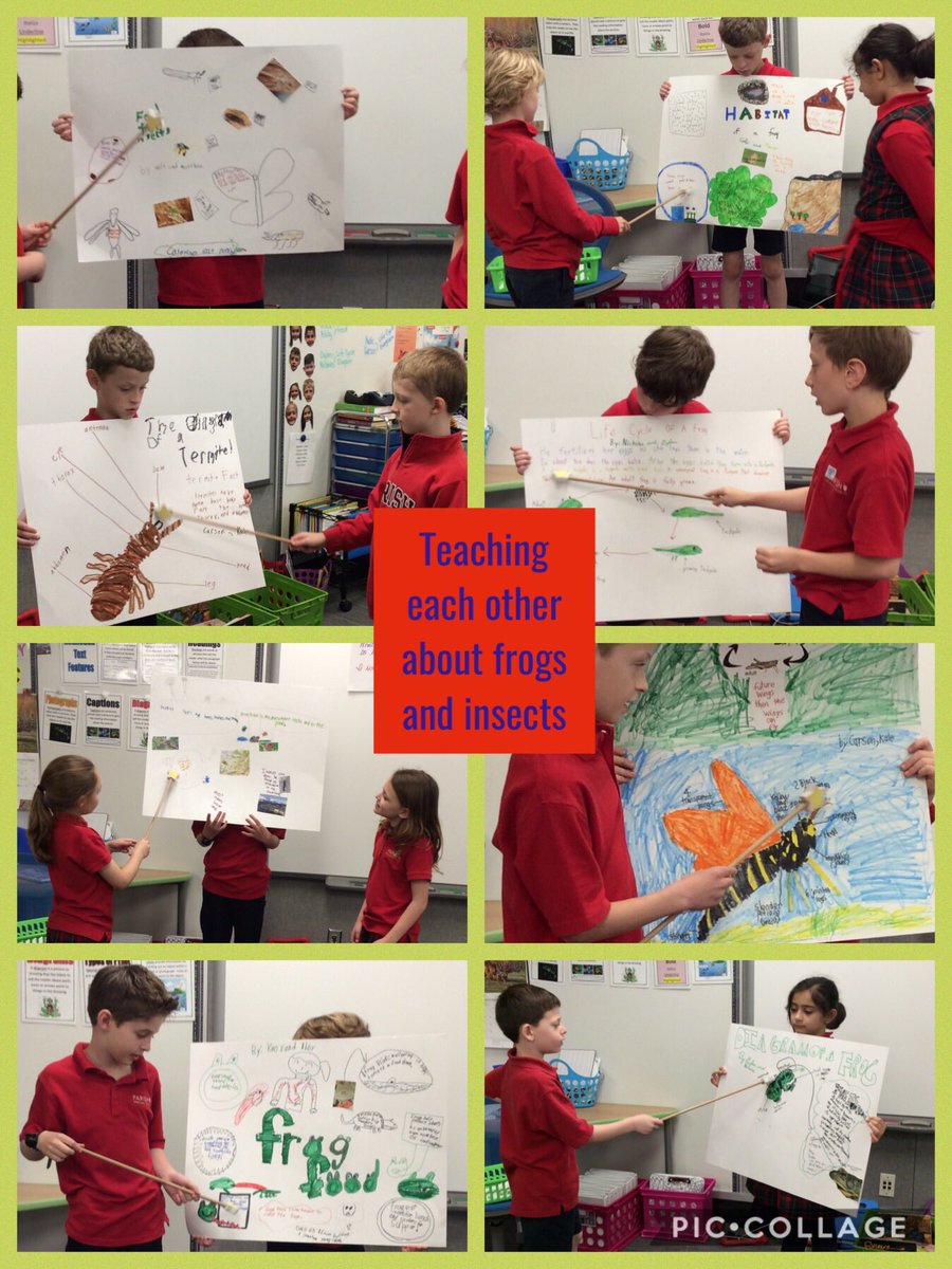 Stephanie Taylor tweet media