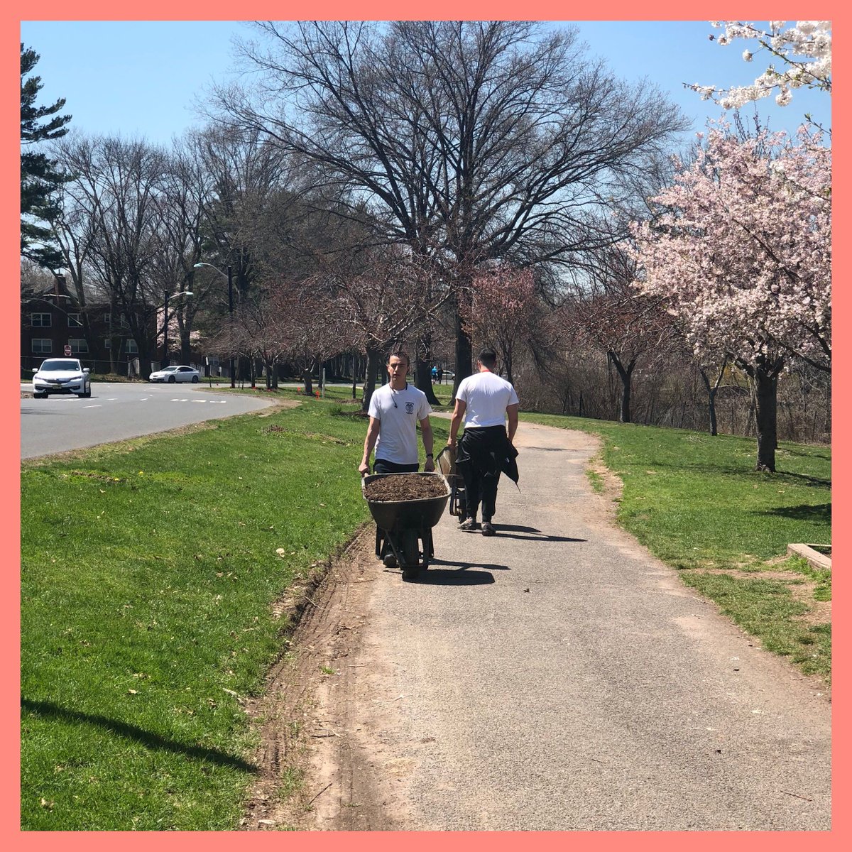 UnionOwls's tweet photo. ππΌUnion County College students spent some time with the Union County Parks & Recreation department adding mulch to trees and covered over 7 yards of Warinanco Park. Thank you to all who helped out today πͺπΎ #UServe18 #TheOfficeOfCollegeLife #GetInvolved2Evolve #OwlsInAction https://t.co/Fkvq6esW6z