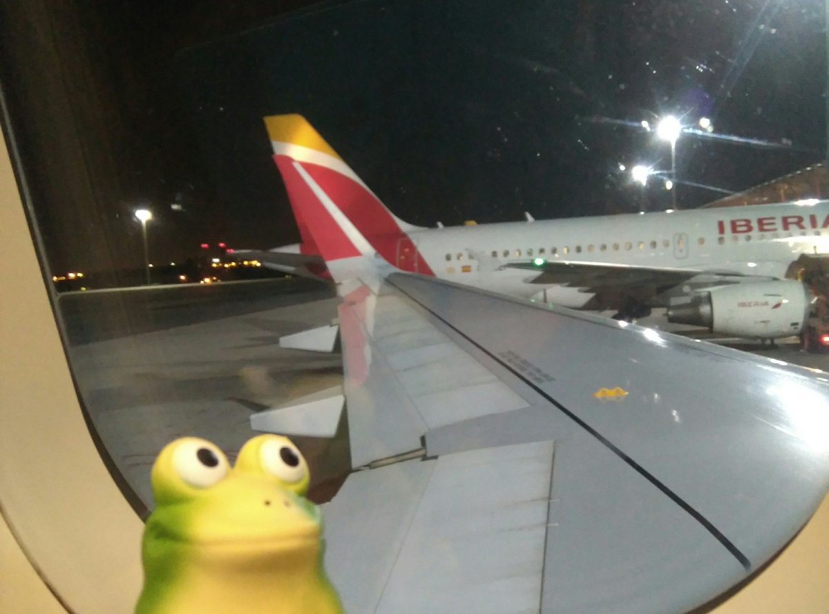 andreuchi26's tweet photo. Froggy from @jfrog always flies with me. Bon voyage! https://t.co/2rlXoRzGP2