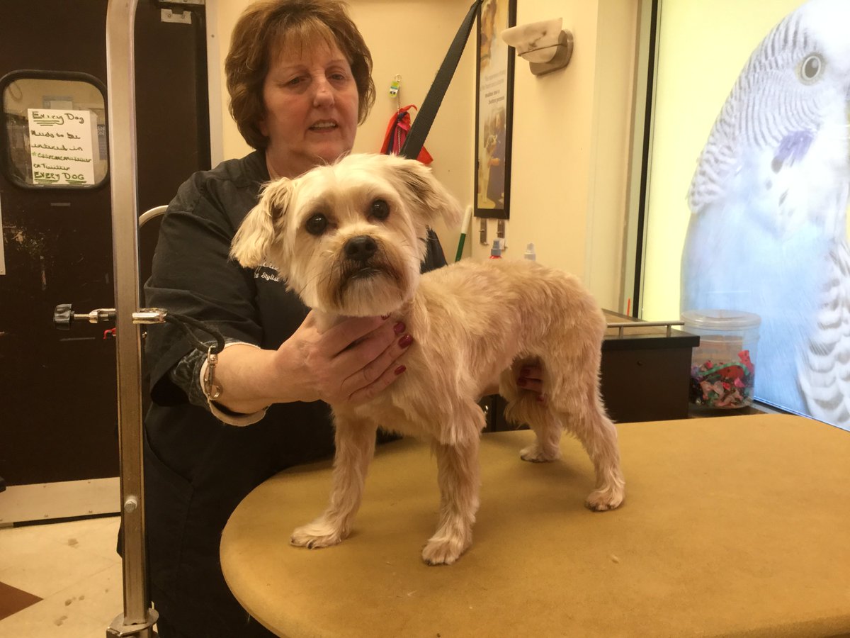 #0733 #nyc #northeastgrooming #extrememakeover Jackie Bowen