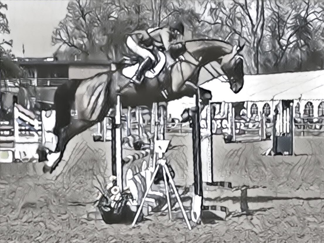 Calcourt Quantum feeling fab <a href="/BictonArena/">Bicton Arena</a> in the Novice. His first run of the season and he was beautifully behaved, with a lovely test and double clear to finish 5th. Very excited about this one!