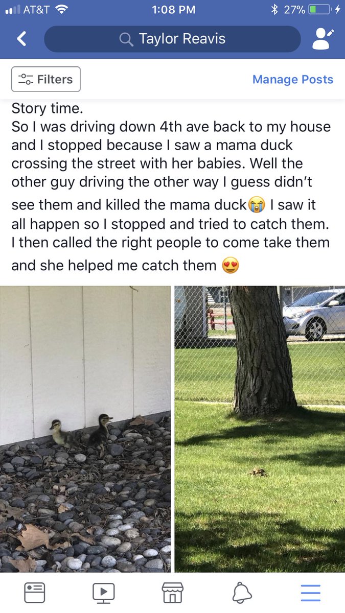 Tay_mckenna's tweet photo. PLEASE PLEASE PLEASE IF YOU SEE AN ANIMAL CROSSING THE STREET STOP 😭 https://t.co/Z6uFnN69g7