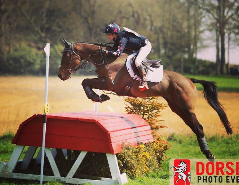 Friends- at some point this year I’d like to re-home another ex-racehorse. 15.2-16.1 gelding aged 5-7, super temperament &amp; brain, quality type with potential to take up the levels Eventing. Please let me know of anything suitable. Sensible prices please.