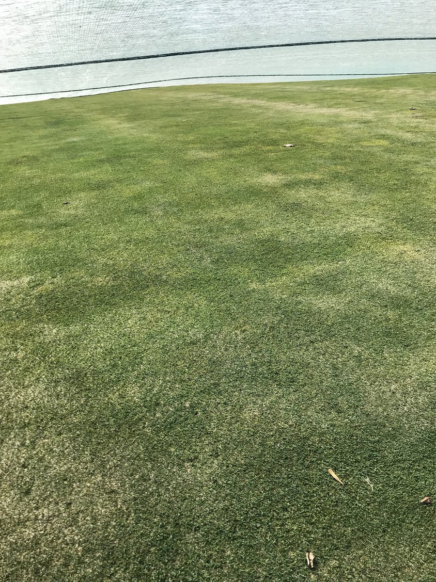 gprolloyd's tweet photo. The range will be open tomorrow at 1pm!!! The recent sunshine has done wonders for us. Hole 5 and Hole 7 green sneak peek below. The range will operate in spring 11am-8pm (pending frost) 7 days a week. Like our page and stay up to date with course opening, events and more. https://t.co/4wB8xPLONU