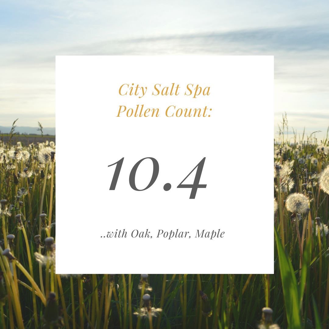 CitySaltSpa's tweet photo. Are you bothered with a sniffle or sneeze from the breeze? If you are, it’s no surprise.. #Spring really is here! Sadly along with that often comes #allergies.. but sad days are over.. #SaltTherapy helps alleviate so many common #allergy triggers.. 🍃😩👏🏼 https://t.co/JAXE2vuFTM