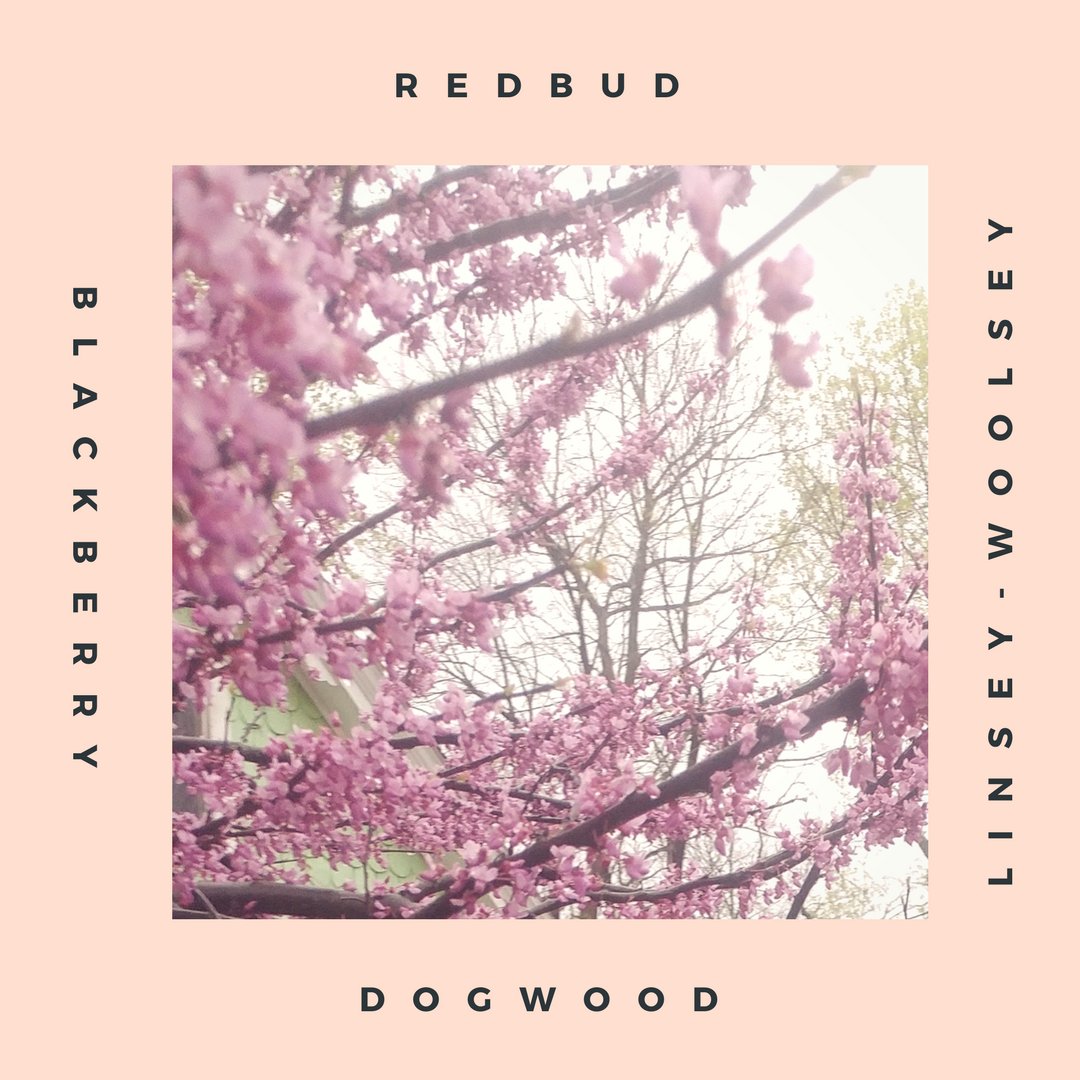 Hey, #Kentuckians -- all this rain means we're at the end of Redwood Winter (or Dogwood Winter, depending where you are in the #commonwealth), which means we're almost halfway through to Spring! ❄️🌸 Hang in there. 

(Don't know what we mean? Check out our FB for more deets.)
