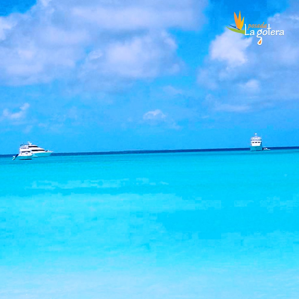 posadalagotera's tweet photo. Azul, y es que este amor es azul como el mar
Azul, como de tu mirada nació mi ilusión
Azul como una lagrima cuando hay perdón
Tan puro y tan azul que me han vuelto el corazón

Amamos el azul de los roques, ven a cantarle con nosotros!
info@posadalagotera.com.ve https://t.co/2MBSzpAIoZ