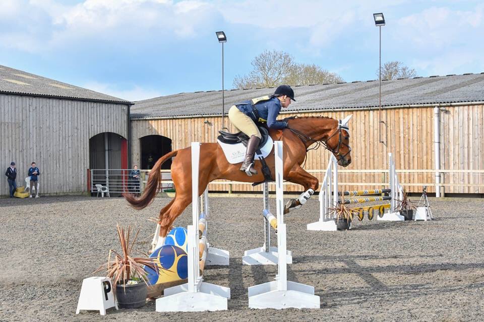 fayester79's tweet photo. Over the moon with my little ginger ninja pulling out an 8th after a silly jockey error dropped us from second ππhe gave me some feeling cross country #cannotbeatanexracer #atlanticallstar #britisheventing #teamtumeric #GAINingtheadvantage https://t.co/5ijMy5WNSF
