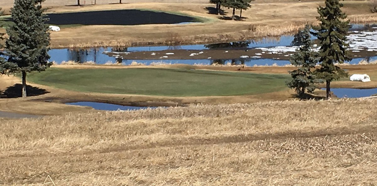 tmpaquette's tweet photo. Another year of high 99% + success with @GreenJacket_TC this year I can say without a doubt that if we didn’t have covers we would have been in big trouble. @MillwoodsGolf @Becks_cory #openingthursday https://t.co/J7gHYmANqp