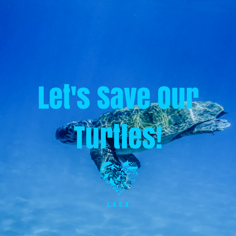 lovingouroceans's tweet photo. Turtles need our help, and here's how you can:

1) stop using one use plastic as it is detrimental to the health of sea turtles
2) Keep off artificial lights because they confuse hatchlings
3) Reduce the amount of chemicals you use
4) Be aware of nesting areas

AND SO MUCH MORE! https://t.co/r764B665SY