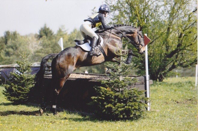 HarrietBaird13's tweet photo. Fantastic Day on Sunday competing at Calmsden ODE. We had 9 clear xc and 5 double clears in the 80 and 90. Great effort everyone! https://t.co/3rT288ETgP