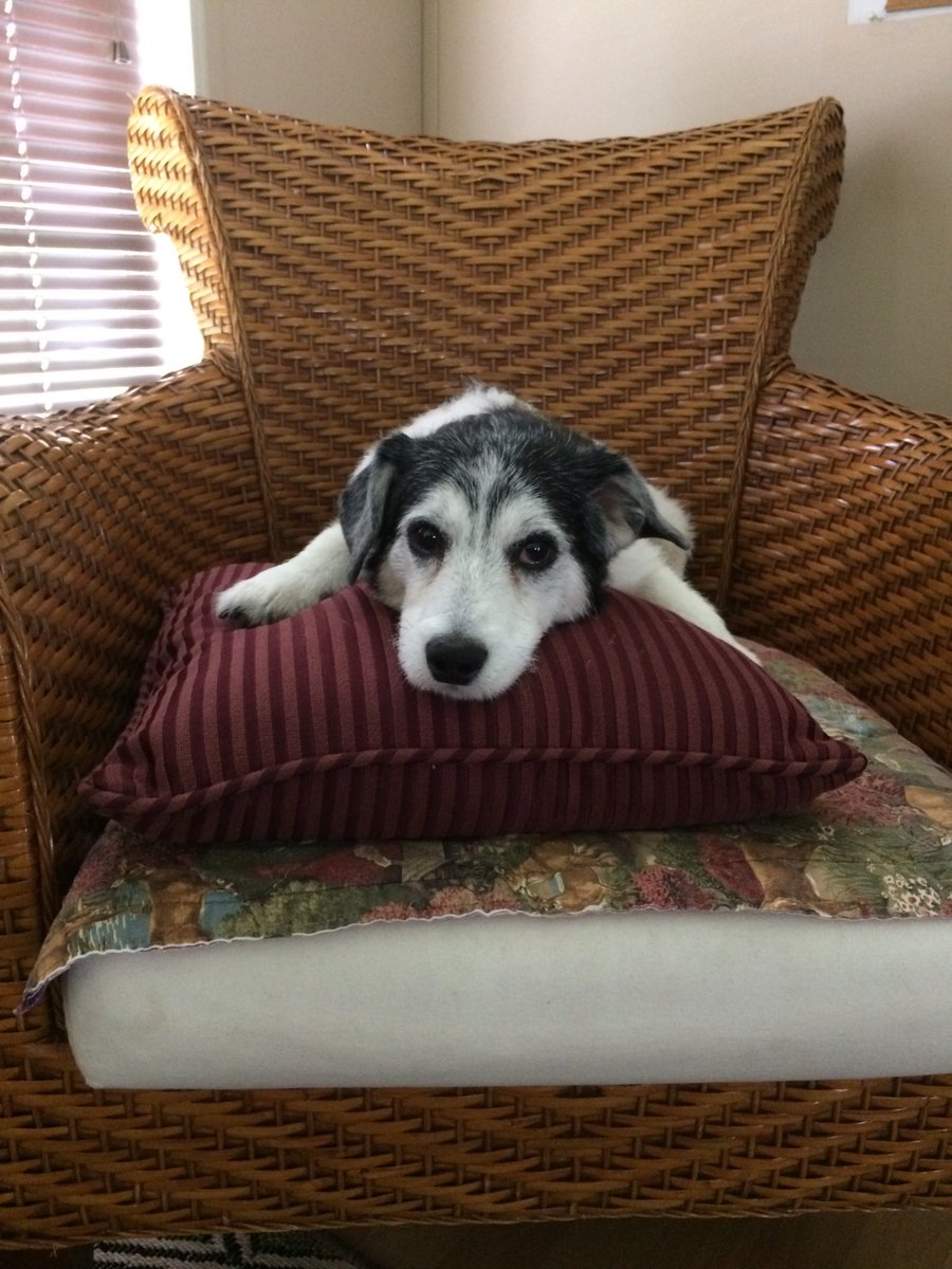 kevin_courage's tweet image. Monday