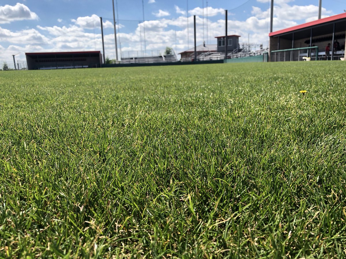 Cedar Hill Softball tweet media