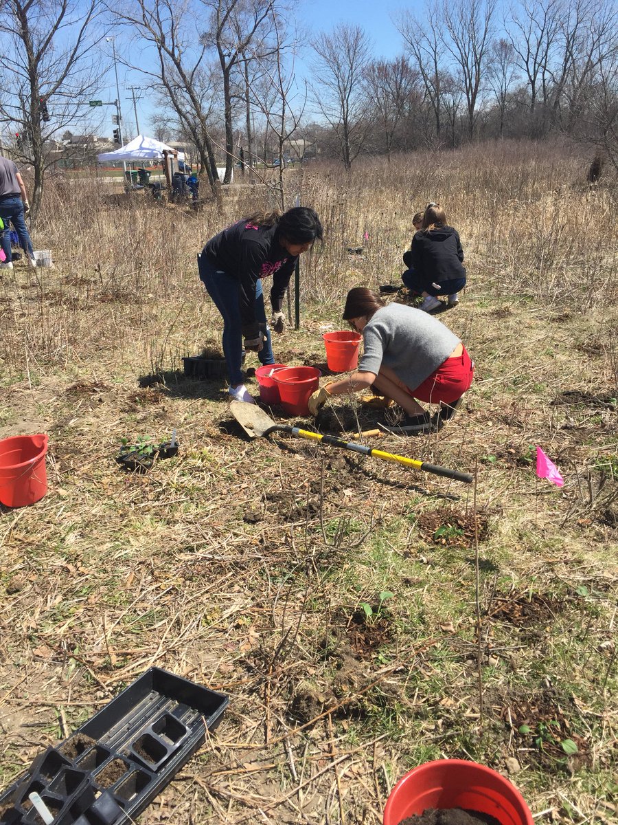lpennock_edu's tweet photo. @lpennock_edu @bhs220 @bactrust1 Zenner/Pennock iBio SS doing their part to help the Earth by planting at Pederson Preserve with the help of Barrington Area Conservation &amp; Trust 💚🌎 https://t.co/SaOPgFRuMY