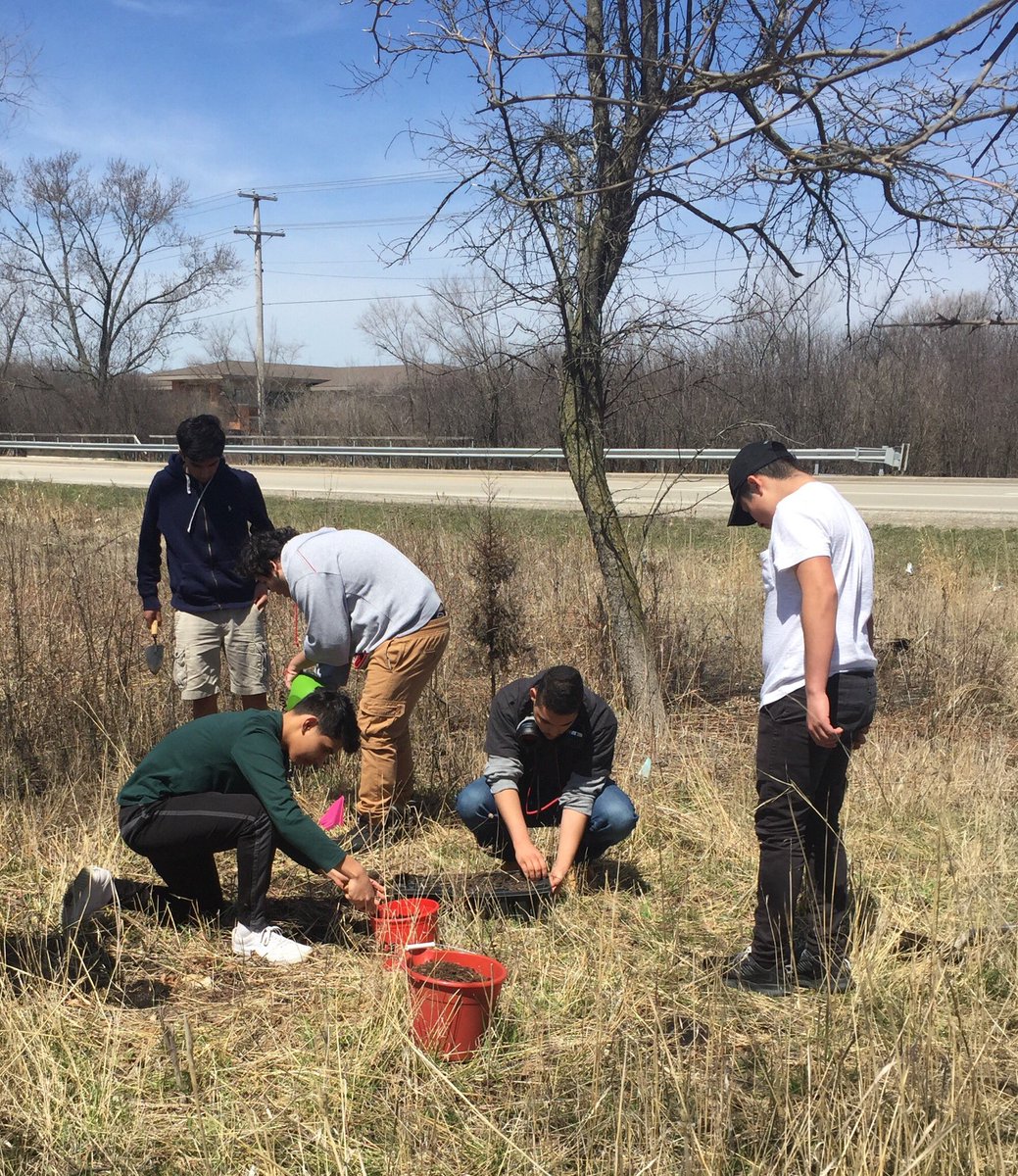 lpennock_edu's tweet photo. @lpennock_edu @bhs220 @bactrust1 Zenner/Pennock iBio SS doing their part to help the Earth by planting at Pederson Preserve with the help of Barrington Area Conservation &amp; Trust 💚🌎 https://t.co/SaOPgFRuMY