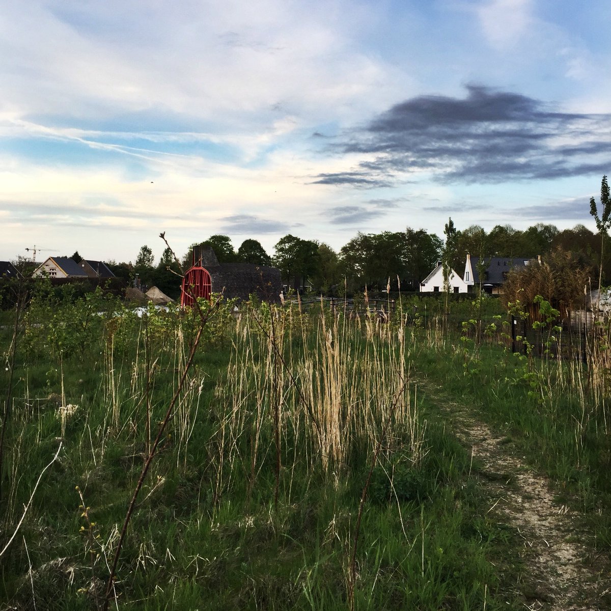Heerlijk avondrondje terwijl het nog licht is #Iloverunning #Máximapark #hardlopen