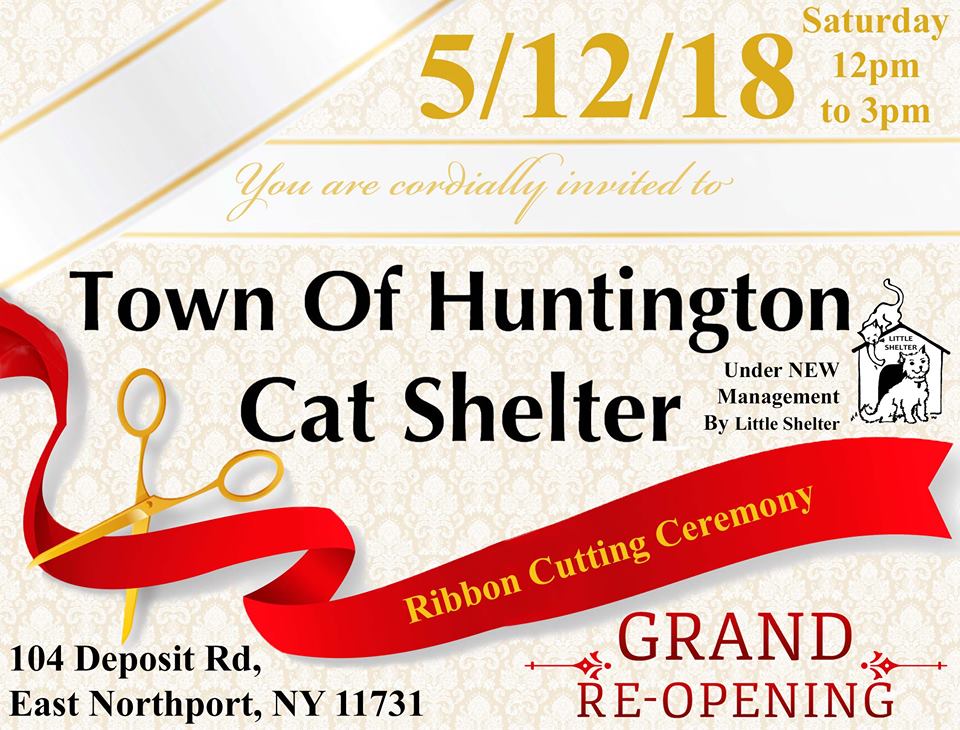 #JoinUs #longislandcats