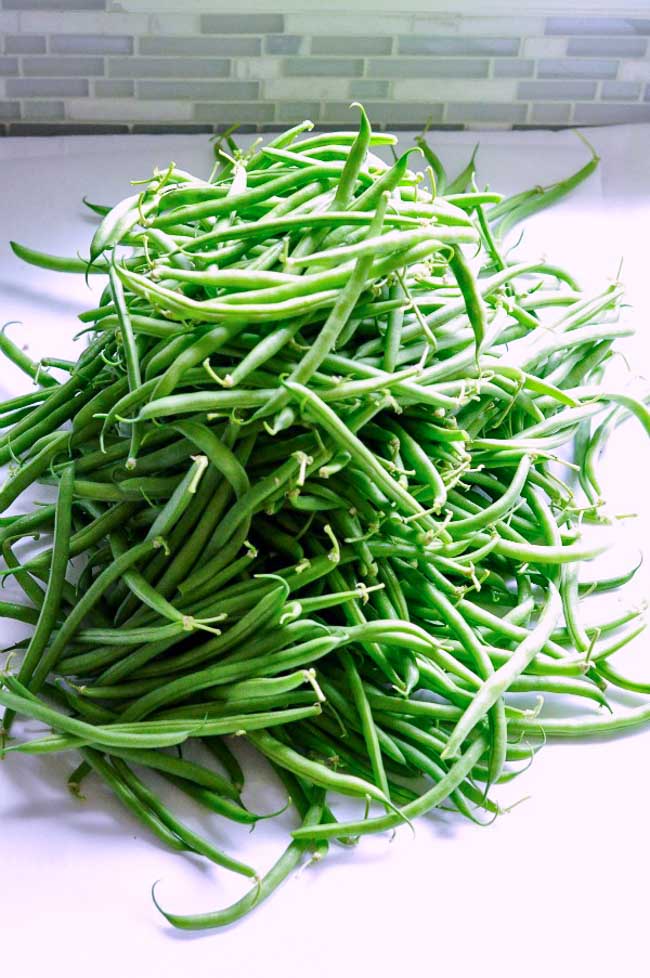 enessman's tweet photo. Sesame Ginger Green Beans https://t.co/h6cCXqH5LY These sesame ginger green beans are tender crisp and a little spicy. A quick paleo side dish, flavoured with garlic, ginger and jalapeño. #side_dish #paleo #sesame #ginger #beans https://t.co/0ggrIbviIN