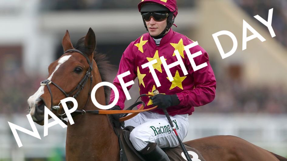 Sports Betting Tips tweet media