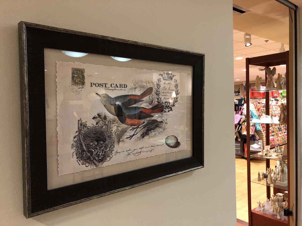 Shoutout to some of my forefeathers #respect #stamps #art #decor #burdz #tweettweet #JFBCbirds