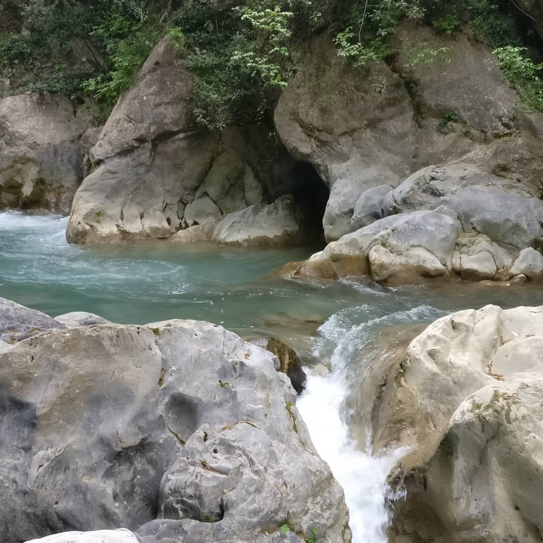 twanVerhoeven1's tweet photo. @greece @mythpeloponnese #peloponnese #sun #prodromou #filosofou #hiking #menalontrail #stemnitsa #dimitsana https://t.co/NsytnVsqZM